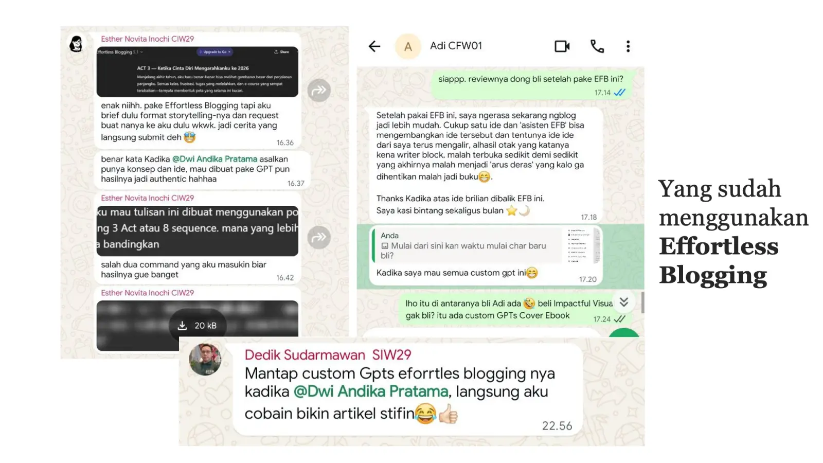 Testimoni Effortless Blogging